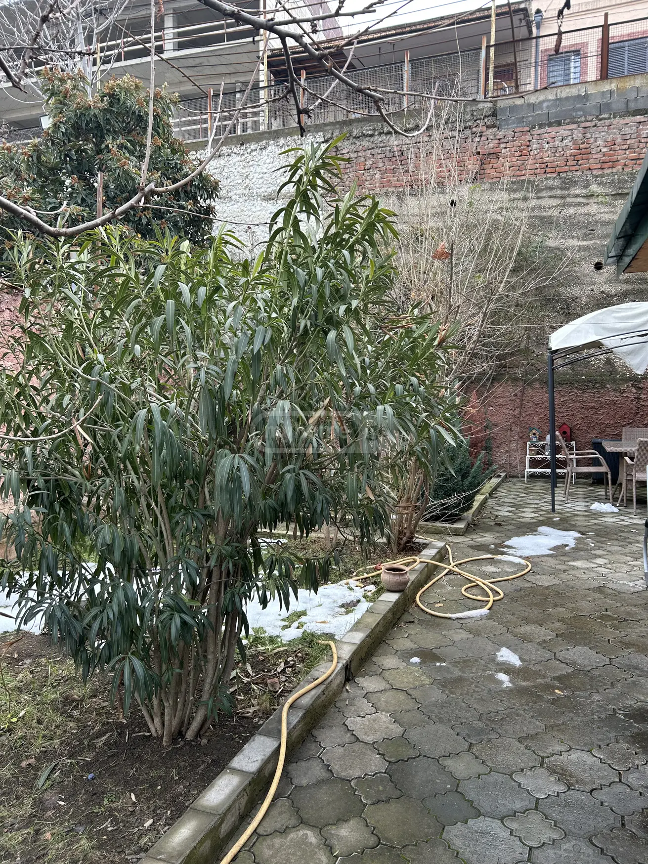 For Rent 3 Room Private House, 6 of 12