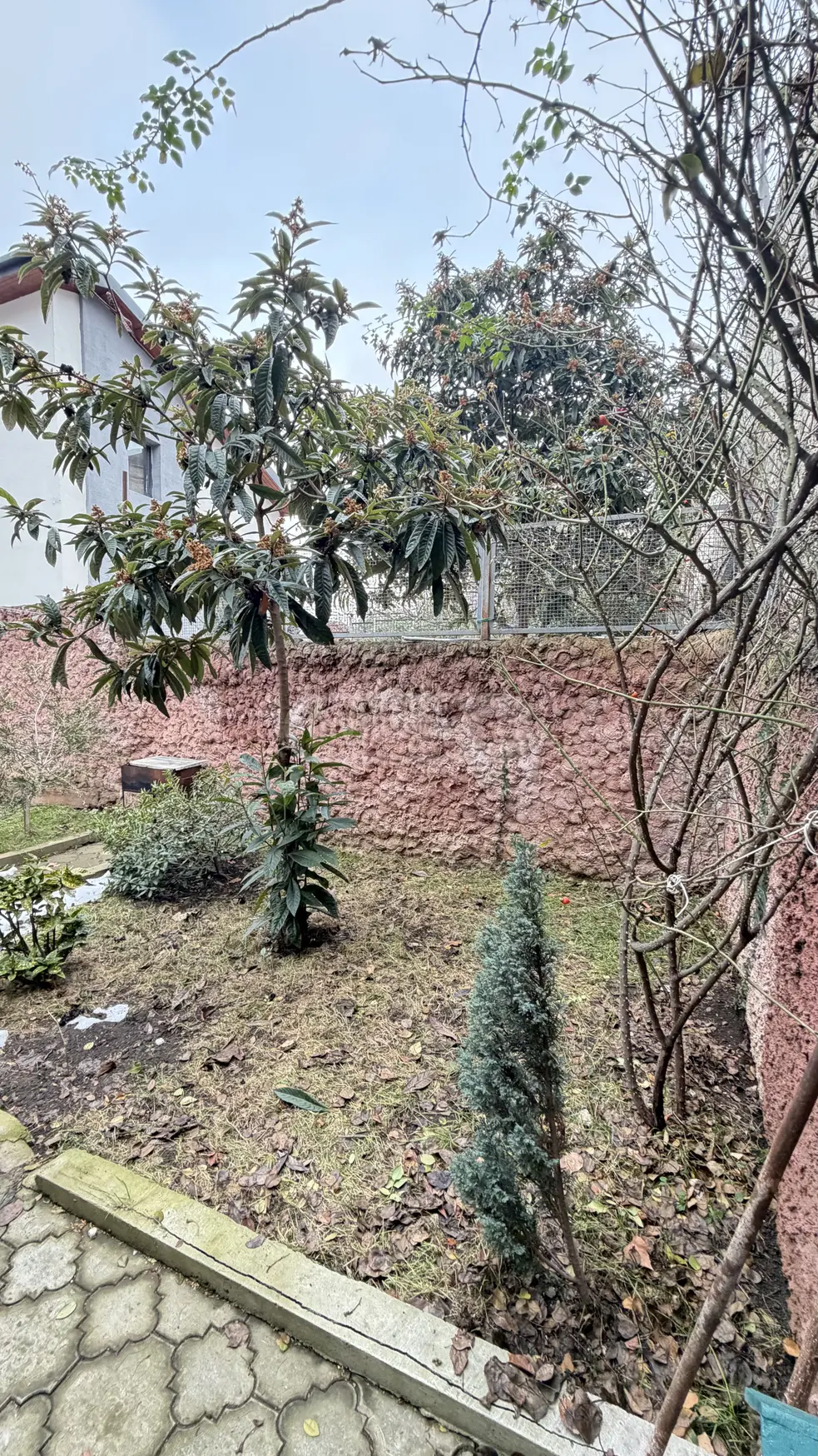 For Rent 3 Room Private House, 8 of 12