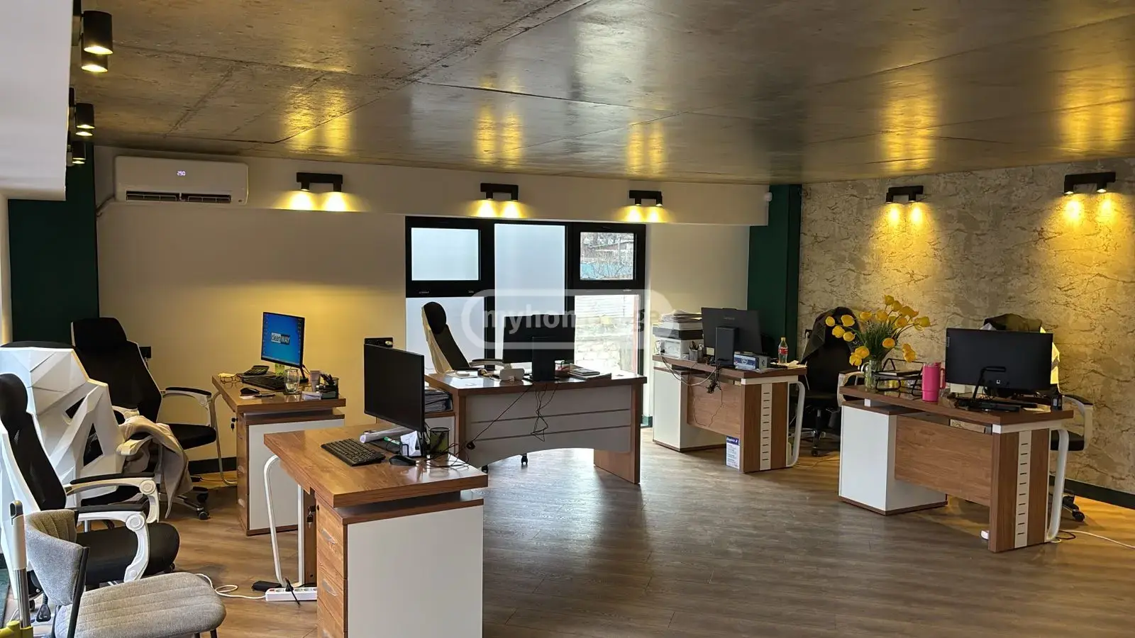 For Rent Saopise Commercial Space Nadzaladevshi, 4 of 8