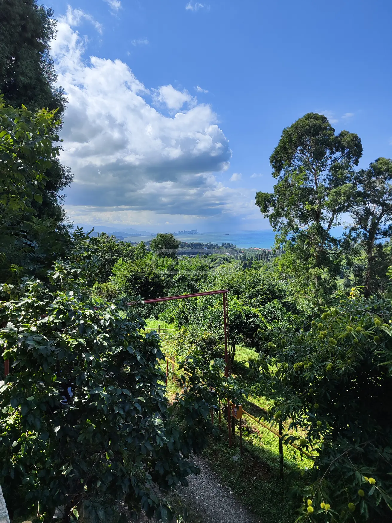 For Sale Sasoplo-Sameurneo Land Plot Kobuletis Munitsipalitetshi view 1