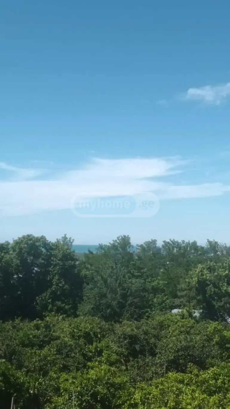 For Sale Sasoplo-Sameurneo Land Plot Khelvachauris Munitsipalitetshi view 6