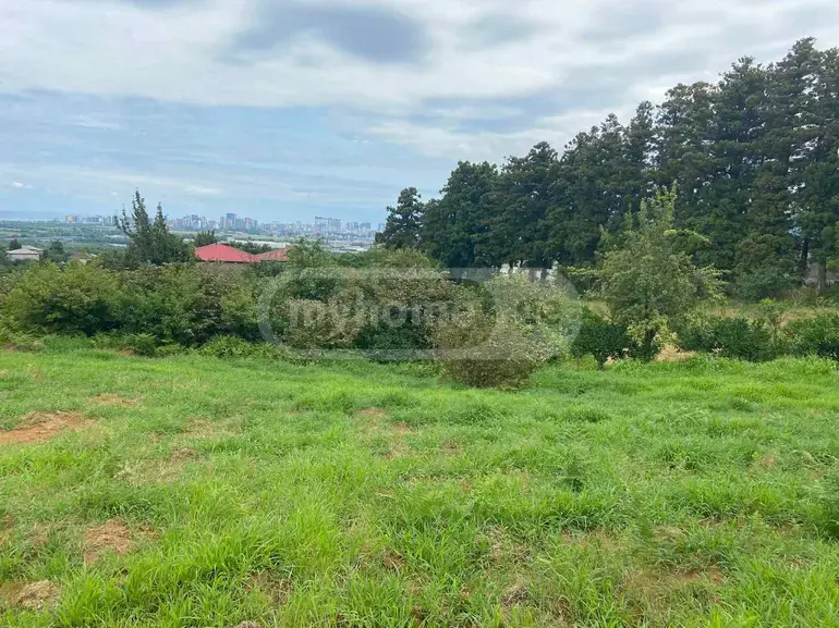 For Sale Sasoplo-Sameurneo Land Plot Khelvachauris Munitsipalitetshi view 2