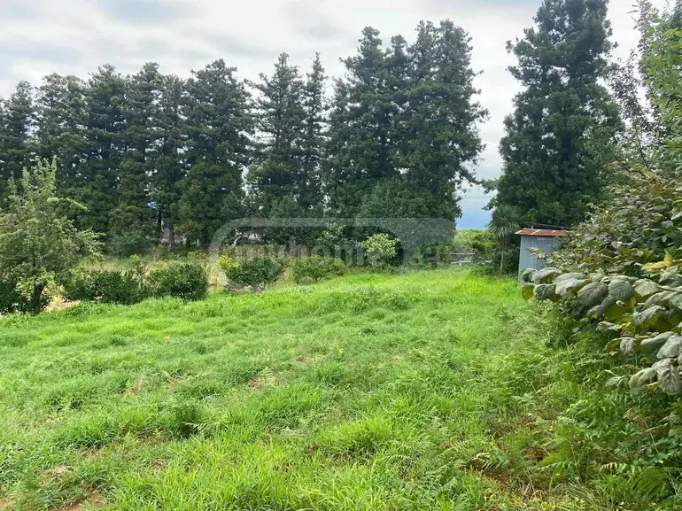 For Sale Sasoplo-Sameurneo Land Plot Khelvachauris Munitsipalitetshi view 1