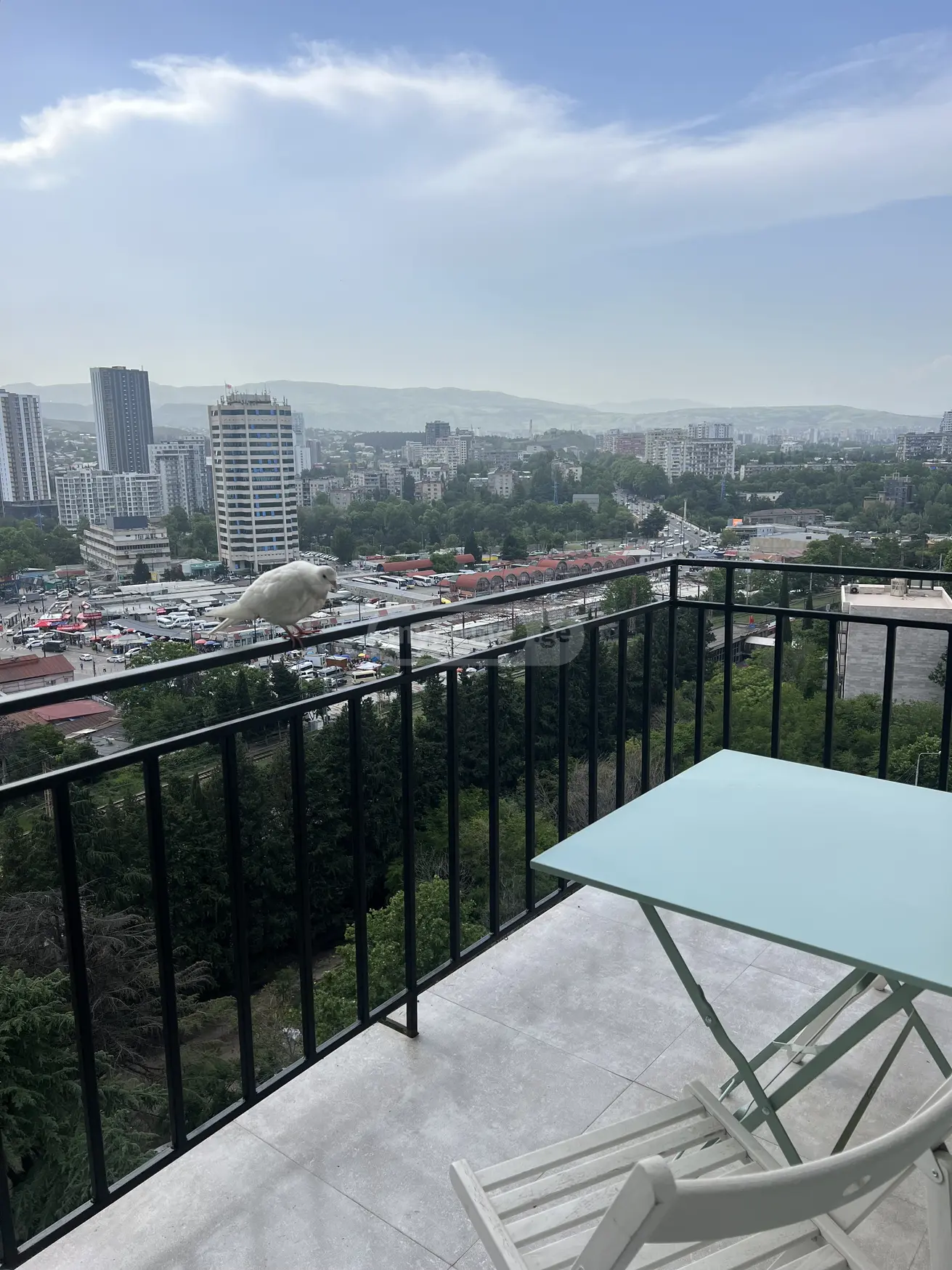 Посуточно 2-комната Квартира в Didubeshi view 12