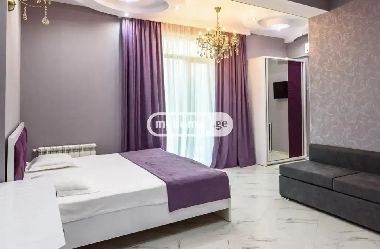 Аренда 9-комната Sastumro Nadzaladevshi view 36