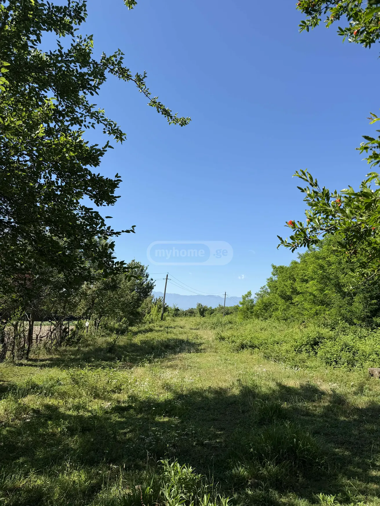 For Sale Ara Sasoplo-Sameurneo Land Plot Kutaisshi view 4