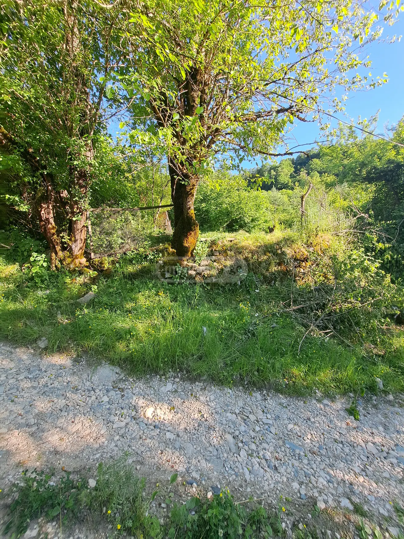 For Sale Sasoplo-Sameurneo Land Plot Ambrolaurshi view 1