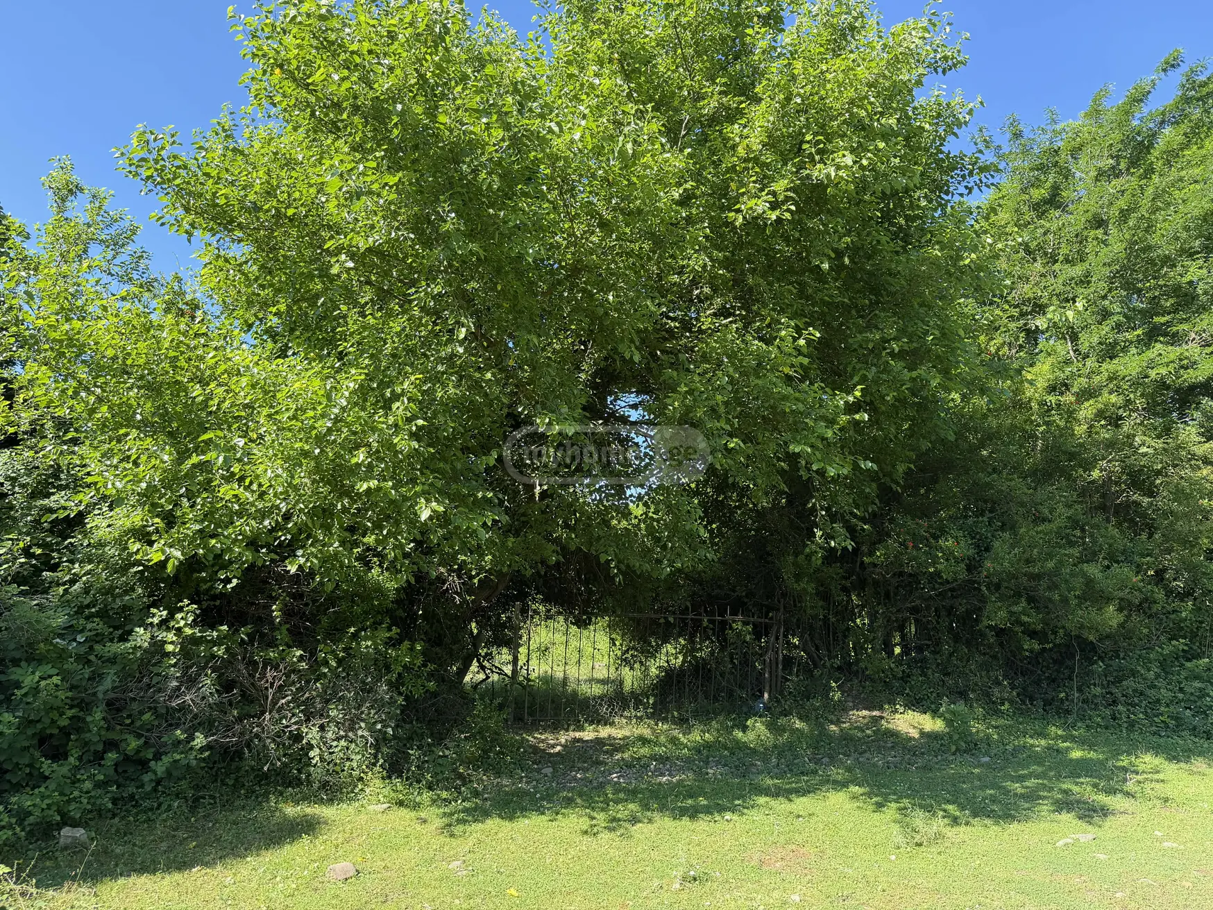 For Sale Ara Sasoplo-Sameurneo Land Plot Kutaisshi view 3