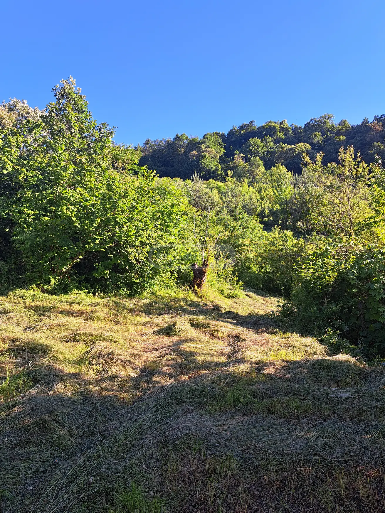 For Sale Sasoplo-Sameurneo Land Plot Ambrolaurshi view 4