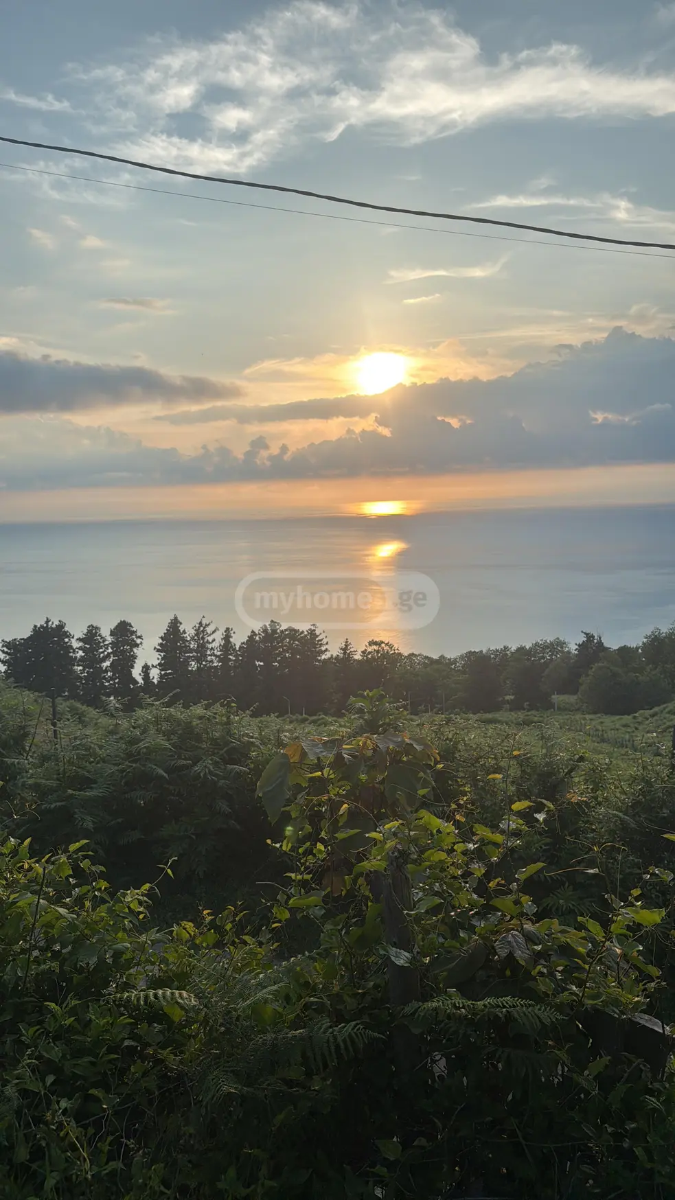 For Sale Ara Sasoplo-Sameurneo Land Plot Khelvachauris Munitsipalitetshi view 1