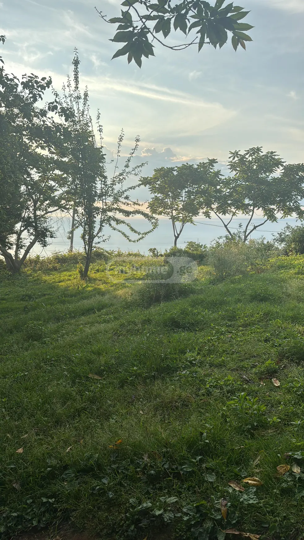 For Sale Ara Sasoplo-Sameurneo Land Plot Khelvachauris Munitsipalitetshi view 3