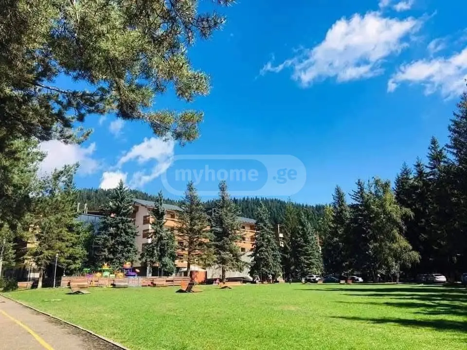 For Sale 2 Room Country House Bakurianshi view 14