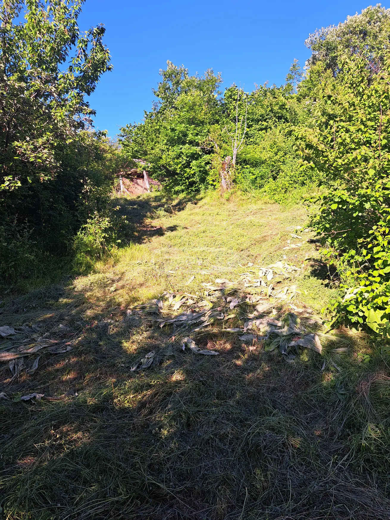 For Sale Sasoplo-Sameurneo Land Plot Ambrolaurshi view 2