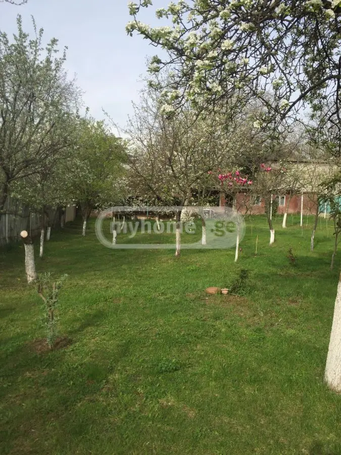 For Rent 3 Room Country House Mtskhetis Munitsipalitetshi view 11