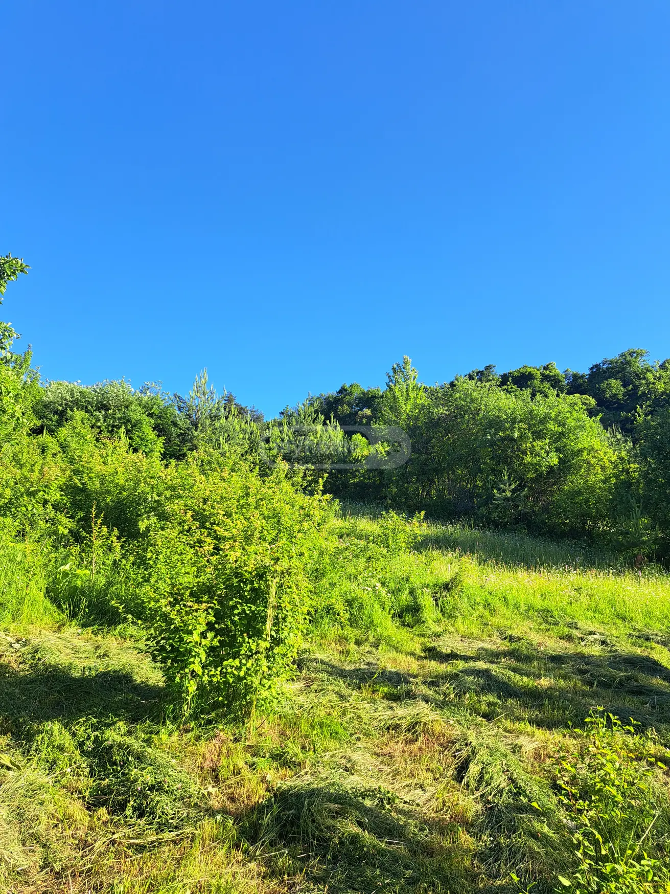 For Sale Sasoplo-Sameurneo Land Plot Ambrolaurshi view 3