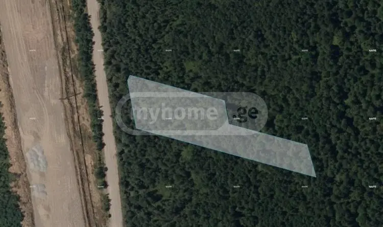For Sale Sasoplo-Sameurneo Land Plot Ozurgetis Munitsipalitetshi view 1