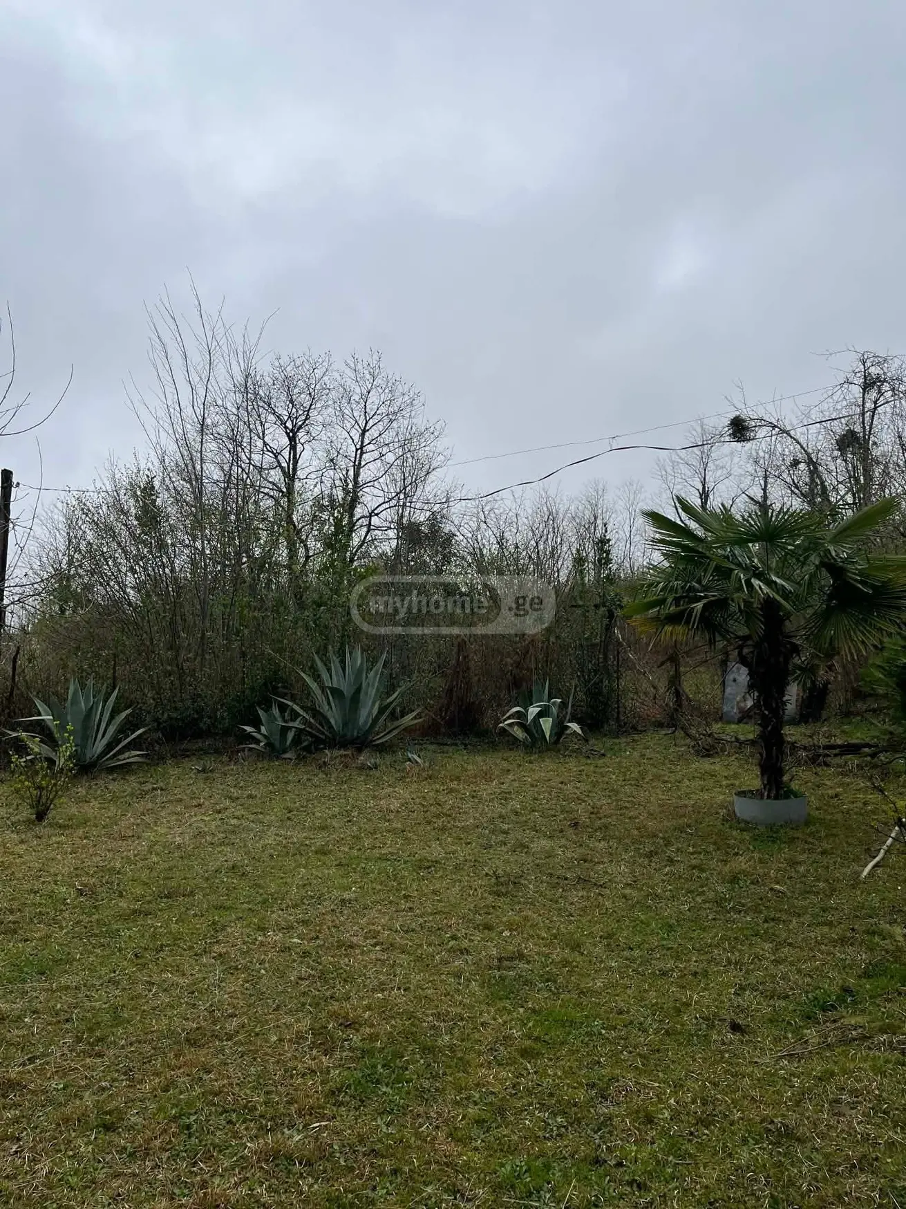 For Sale 5 Room Private House Zugdidis Munitsipalitetshi view 6