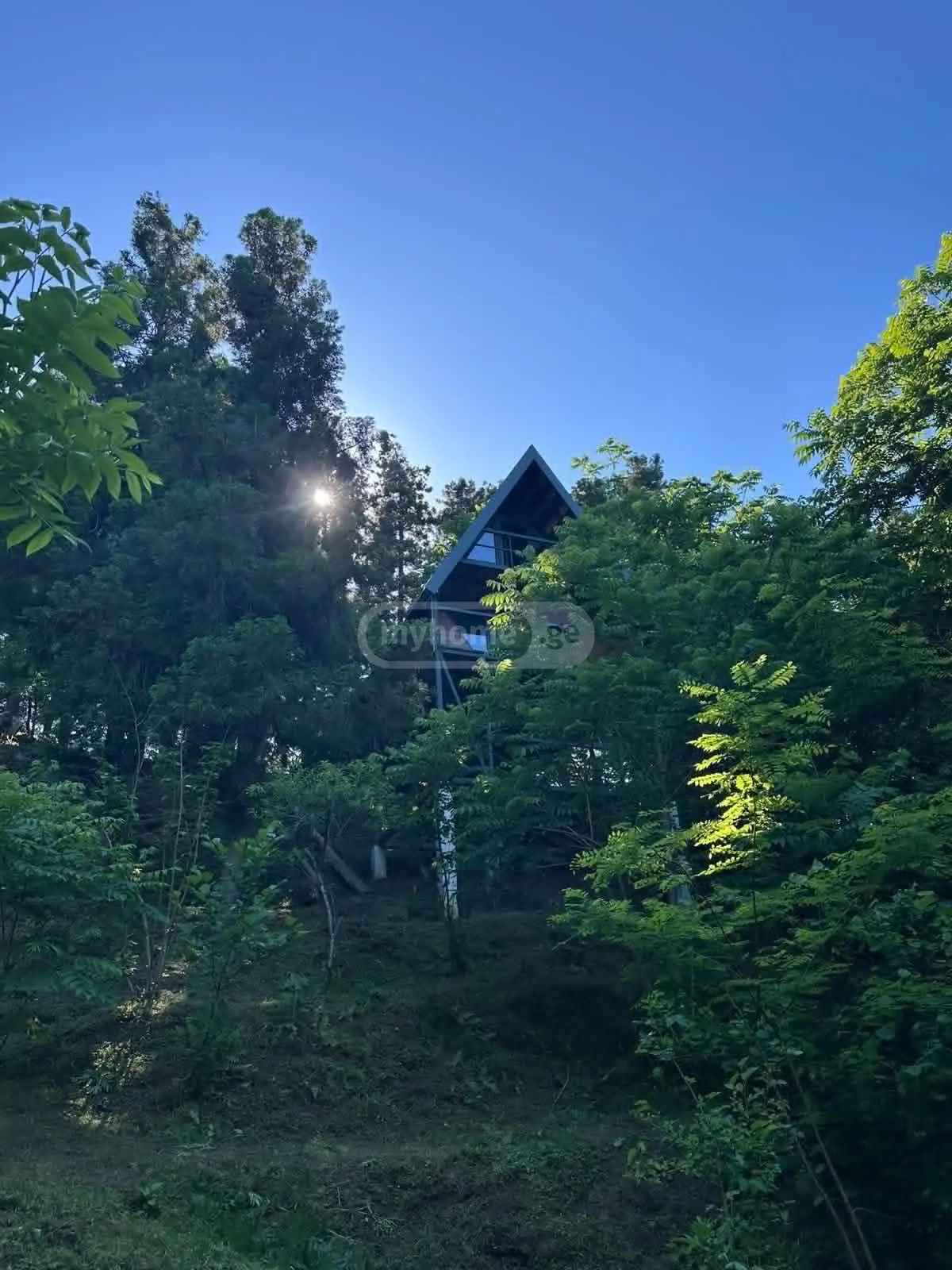 For Sale 6 Room Country House Ozurgetis Munitsipalitetshi view 9