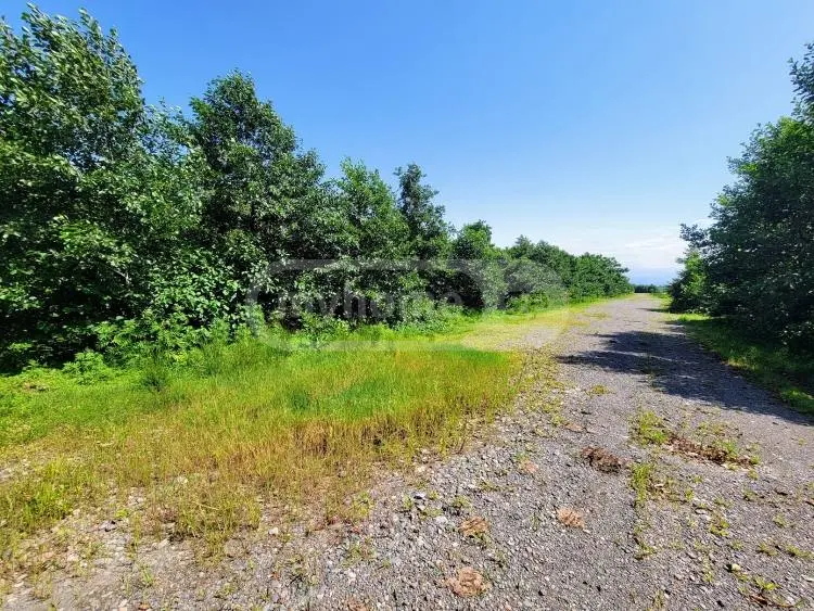 For Sale Sasoplo-Sameurneo Land Plot Ozurgetis Munitsipalitetshi view 4