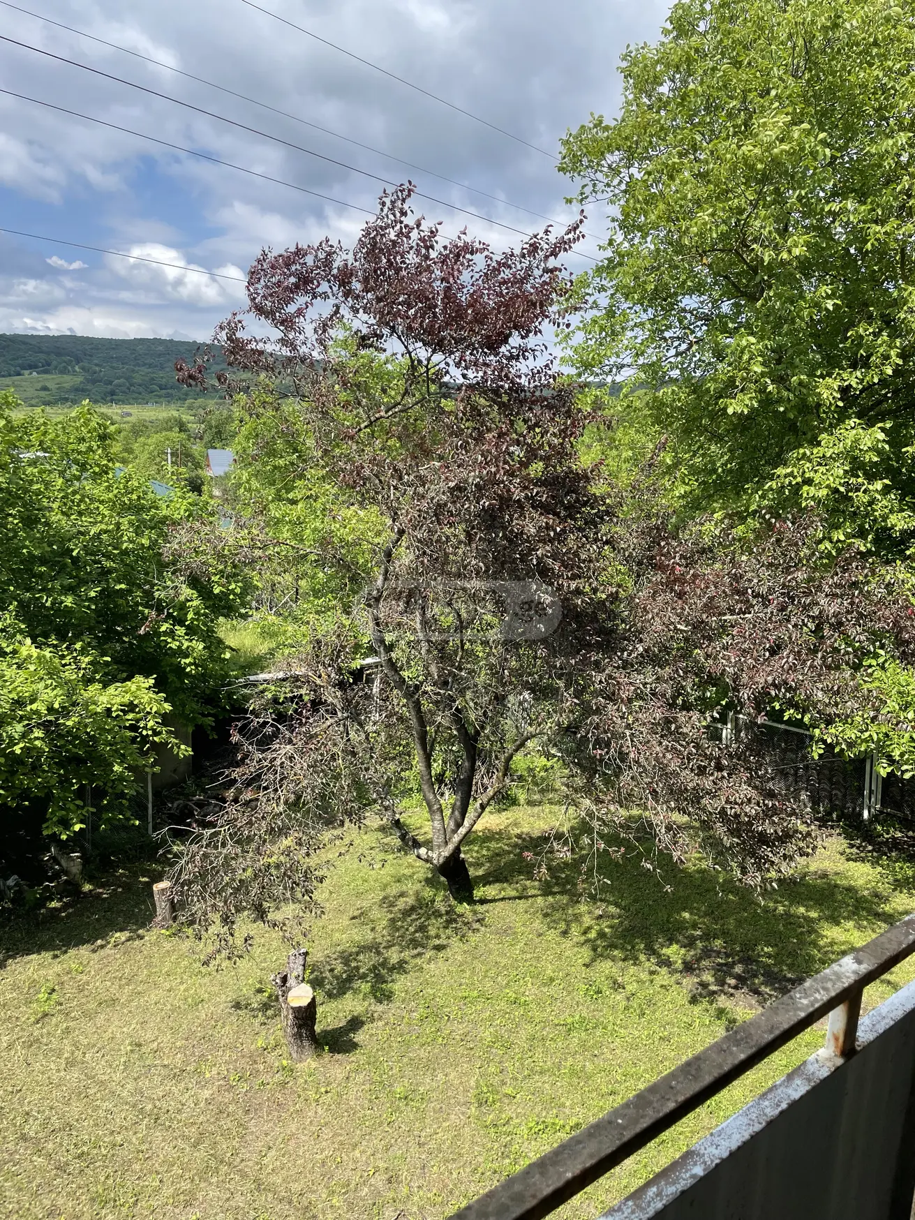 Daily Rent 6 Room Country House Tianetis Munitsipalitetshi view 7