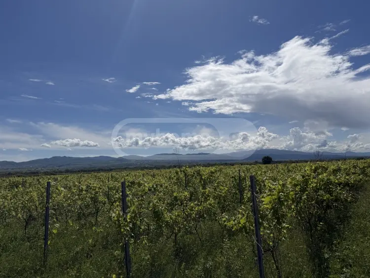 For Sale Sasoplo-Sameurneo Land Plot Qvarlis Munitsipalitetshi view 6