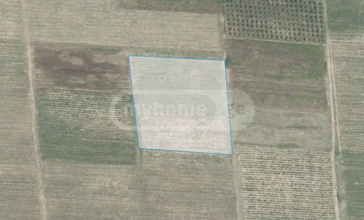 For Sale Sasoplo-Sameurneo Land Plot Qvarlis Munitsipalitetshi view 4