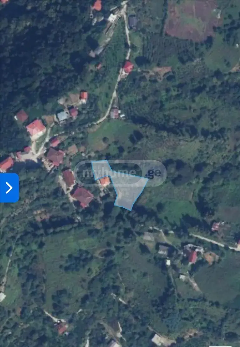 For Sale Sasoplo-Sameurneo Land Plot Khelvachaurshi view 1