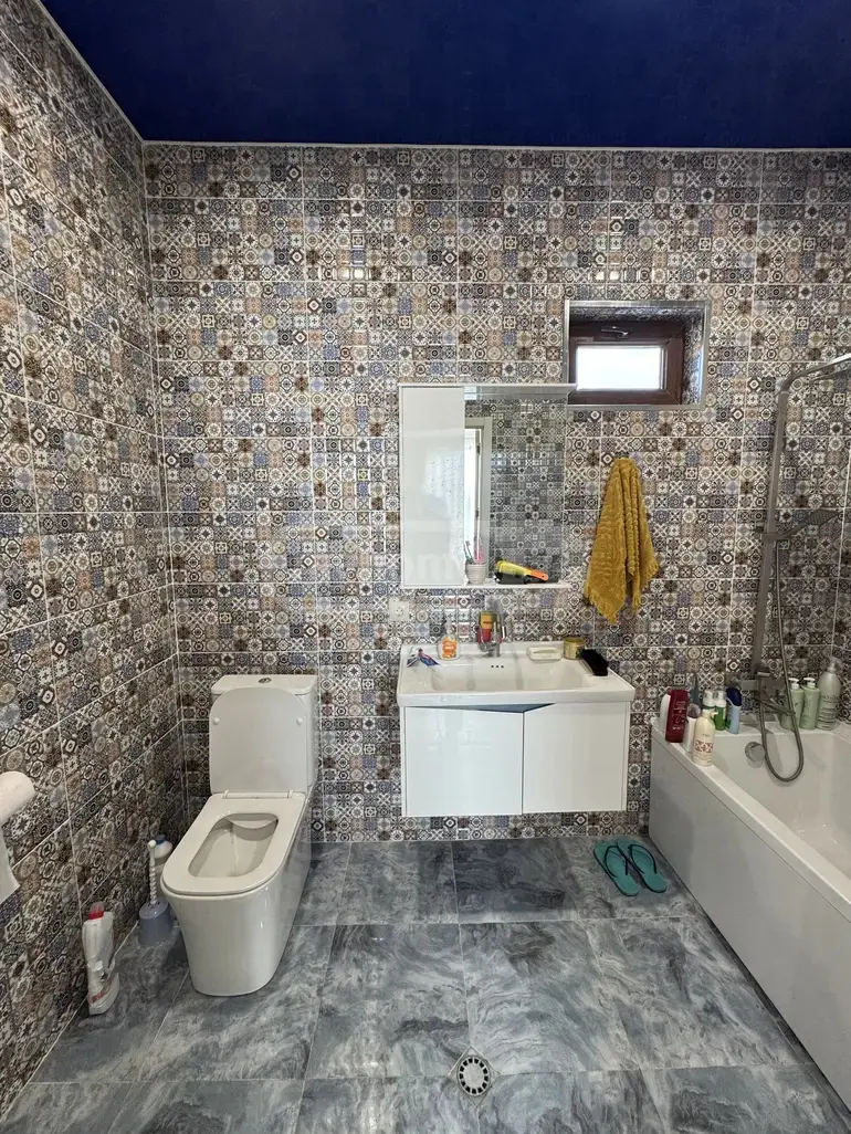 For Rent 4 Room Private House Dushetis Munitsipalitetshi view 4