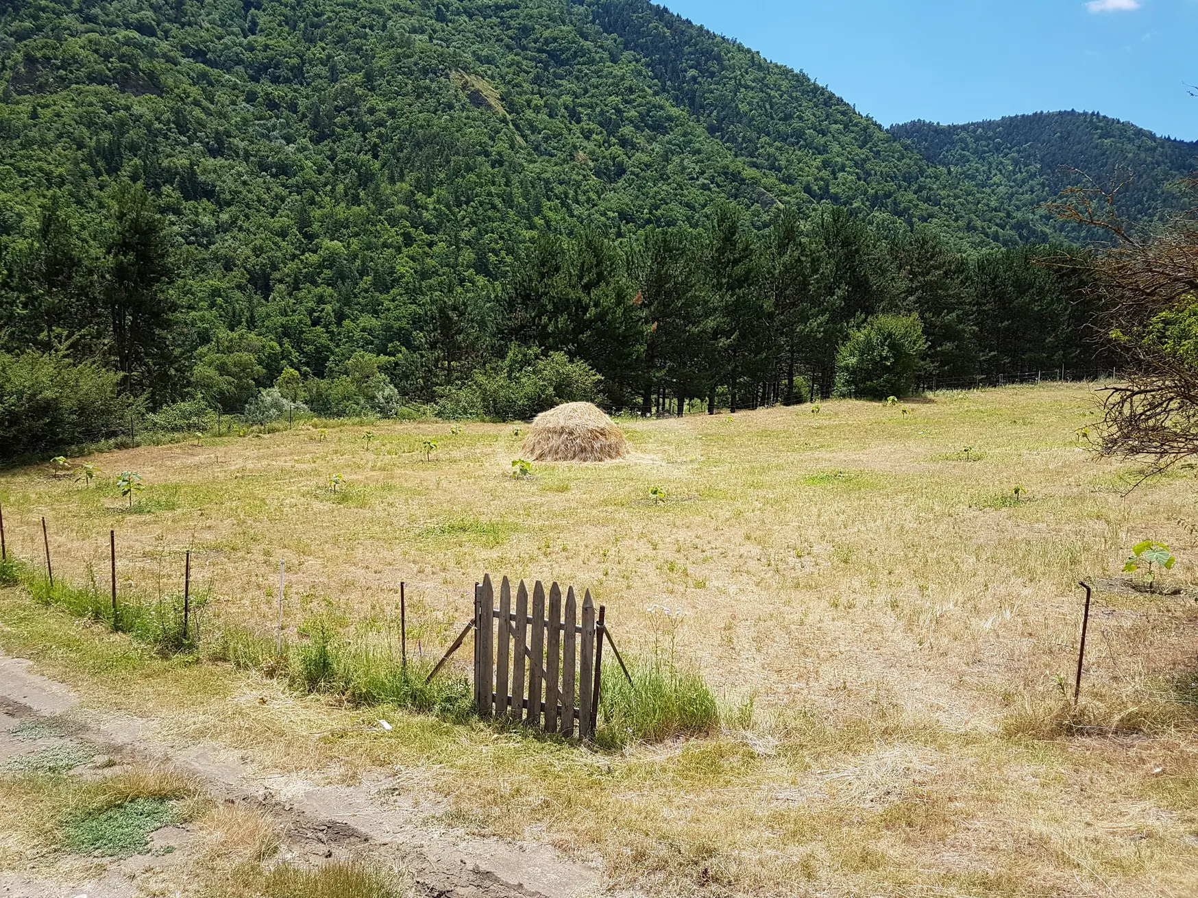 For Sale Sasoplo-Sameurneo Land Plot Borjomis Munitsipalitetshi view 6