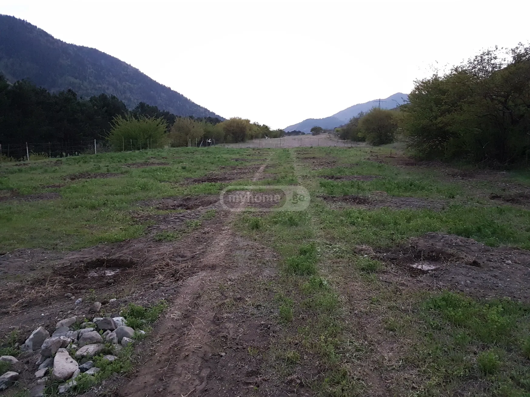 For Sale Sasoplo-Sameurneo Land Plot Borjomis Munitsipalitetshi view 2