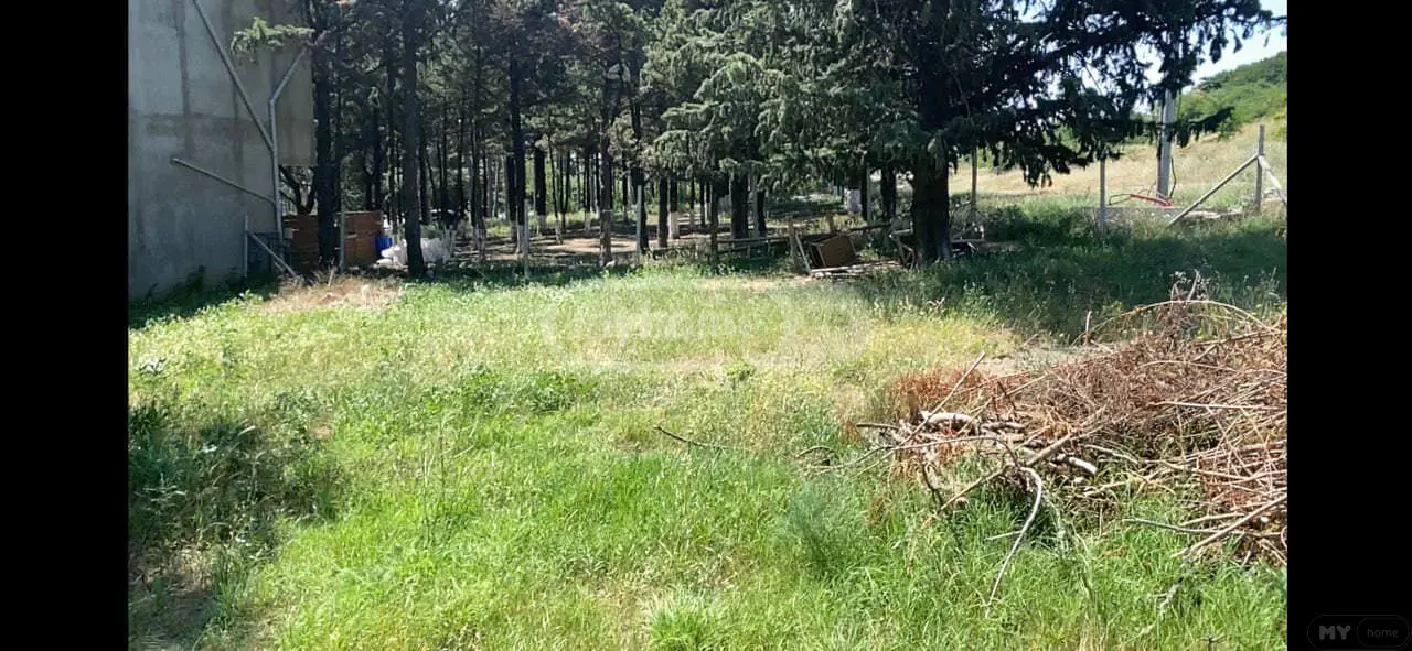 For Sale Ara Sasoplo-Sameurneo Land Plot In Didi Dighomi view 5
