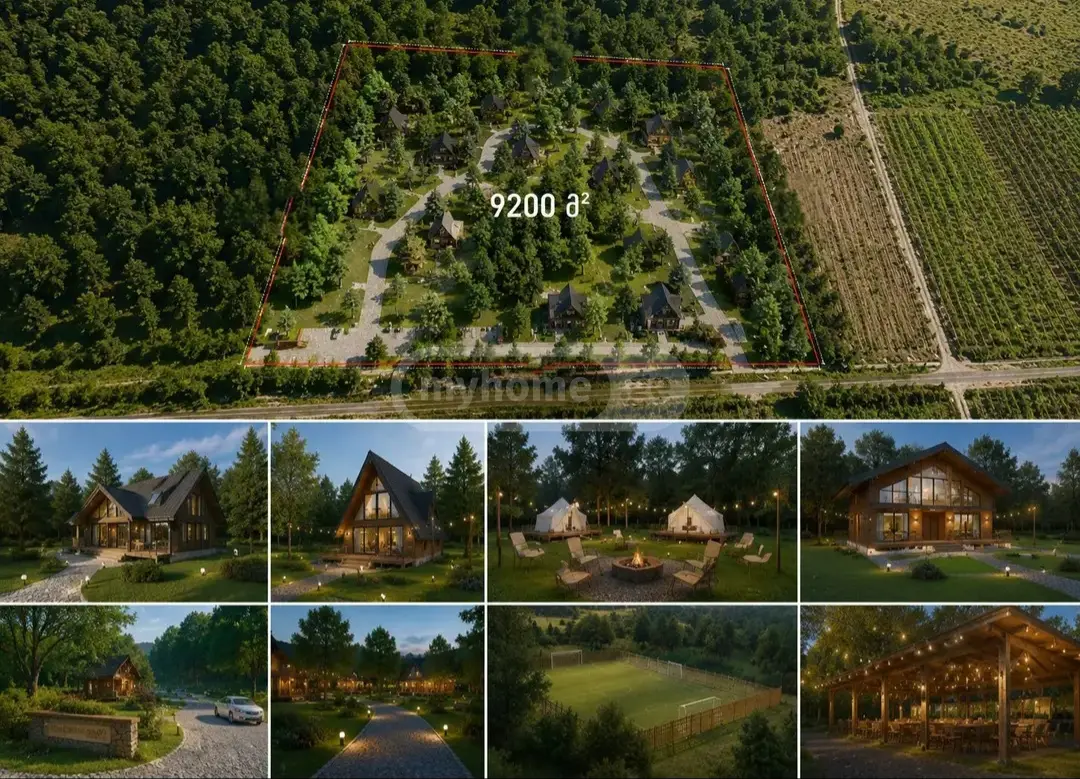 For Sale Sasoplo-Sameurneo Land Plot Lagodekhshi view 1