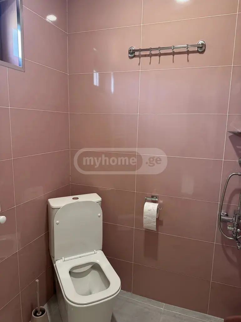 For Rent 4 Room Private House Dushetis Munitsipalitetshi view 10