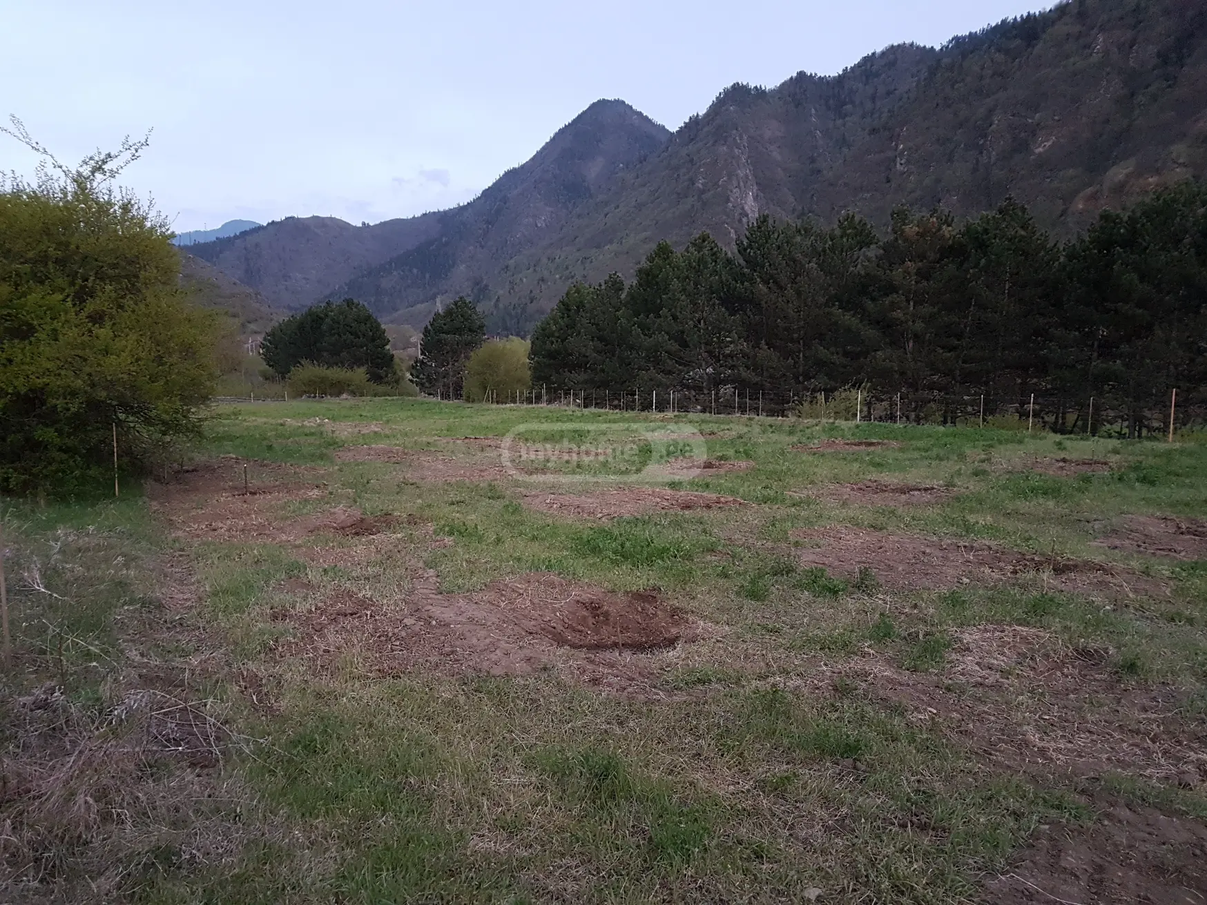 For Sale Sasoplo-Sameurneo Land Plot Borjomis Munitsipalitetshi view 3