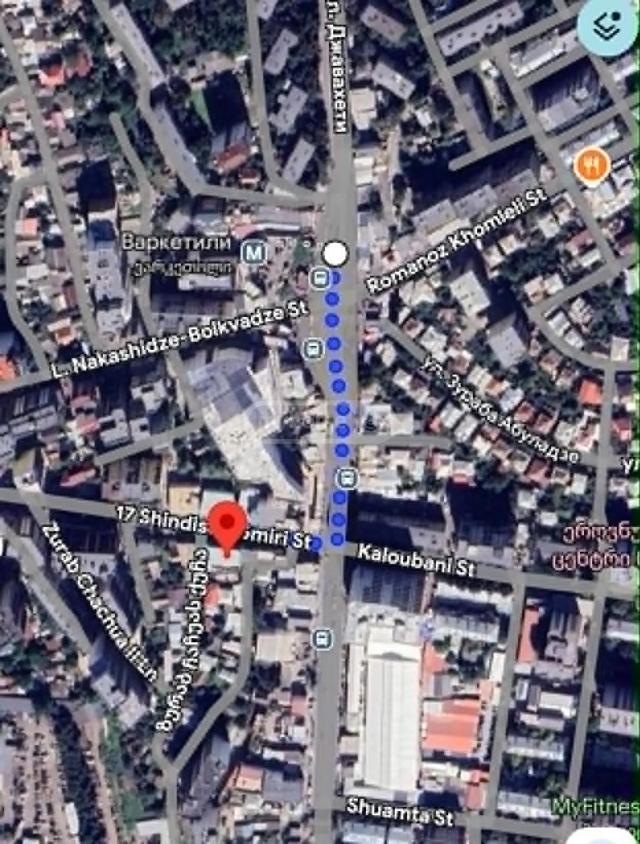 For Sale Universaluri Commercial Space Varketilshi, 3 of 5