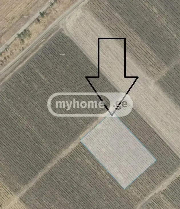 For Sale Sasoplo-Sameurneo Land Plot Sighnaghshi view 4