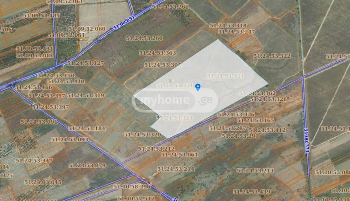 For Sale Sasoplo-Sameurneo Land Plot Gurjaanshi view 1