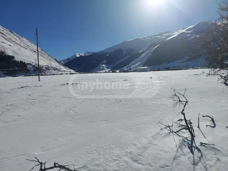 For Sale Sasoplo-Sameurneo Land Plot Qazbegshi view 3