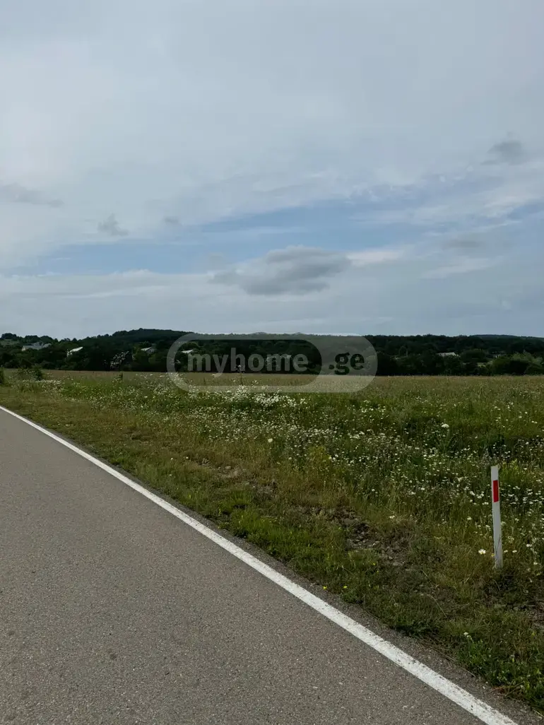 Продажа Земля / участок в Tetritsqaroshi view 4