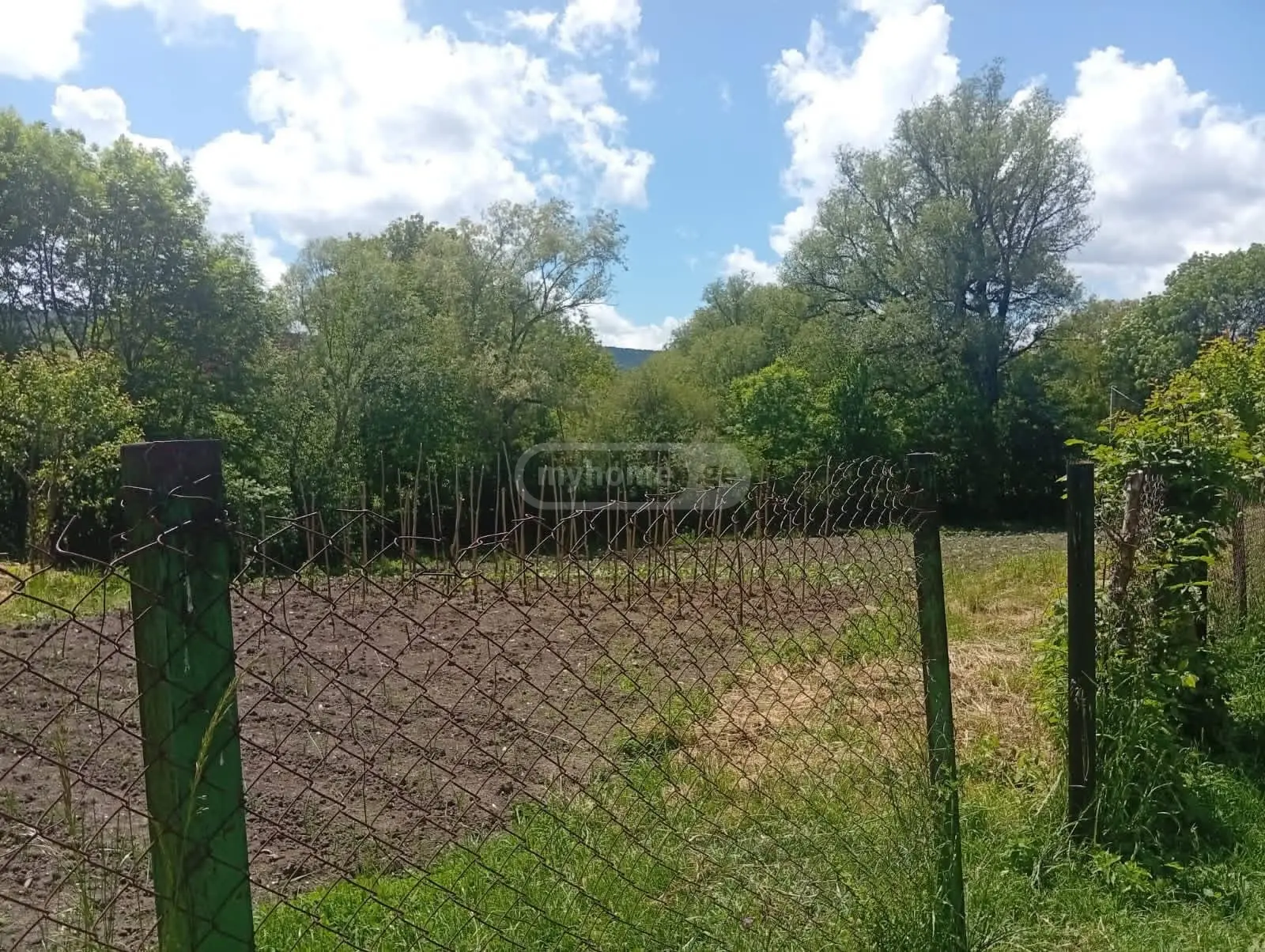 For Sale 6 Room Private House Tianetis Munitsipalitetshi view 7