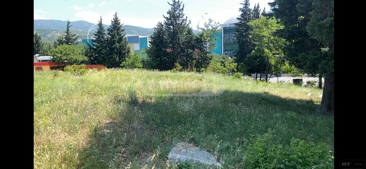 For Sale Ara Sasoplo-Sameurneo Land Plot In Didi Dighomi view 4
