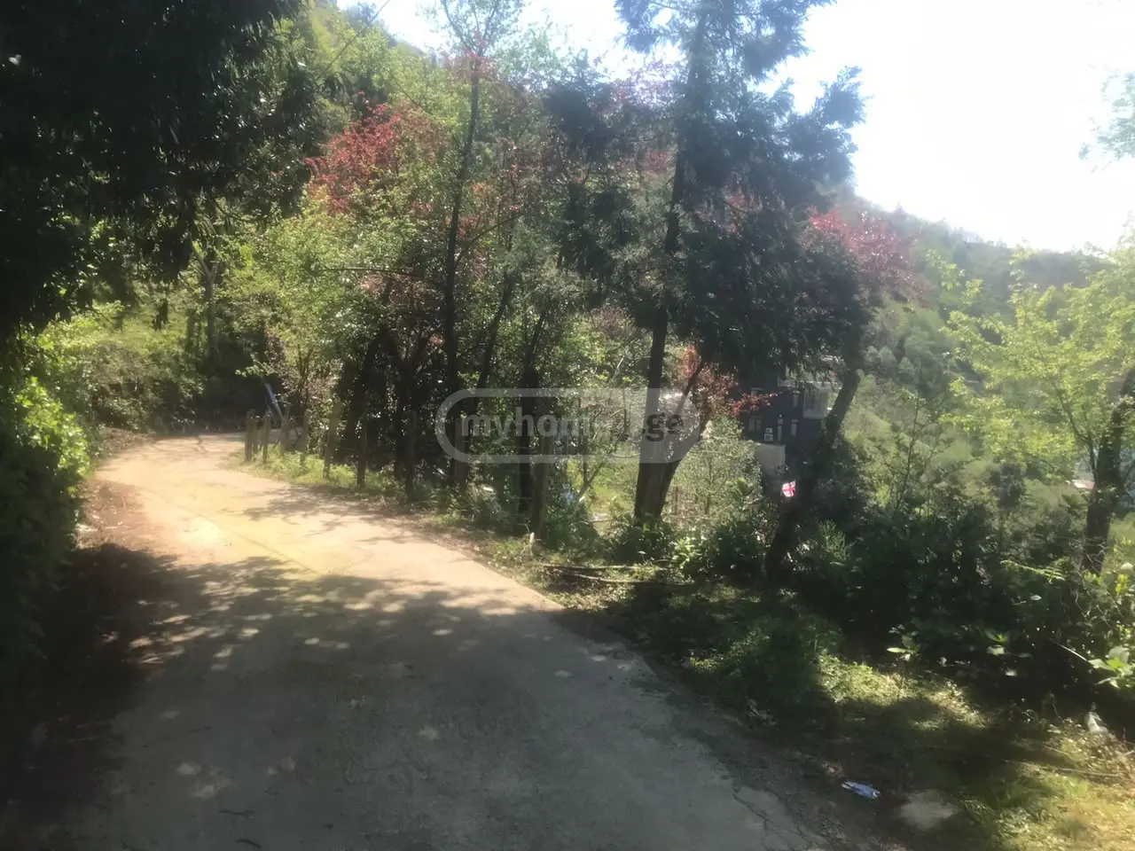 For Sale Sasoplo-Sameurneo Land Plot Khelvachauris Munitsipalitetshi view 3