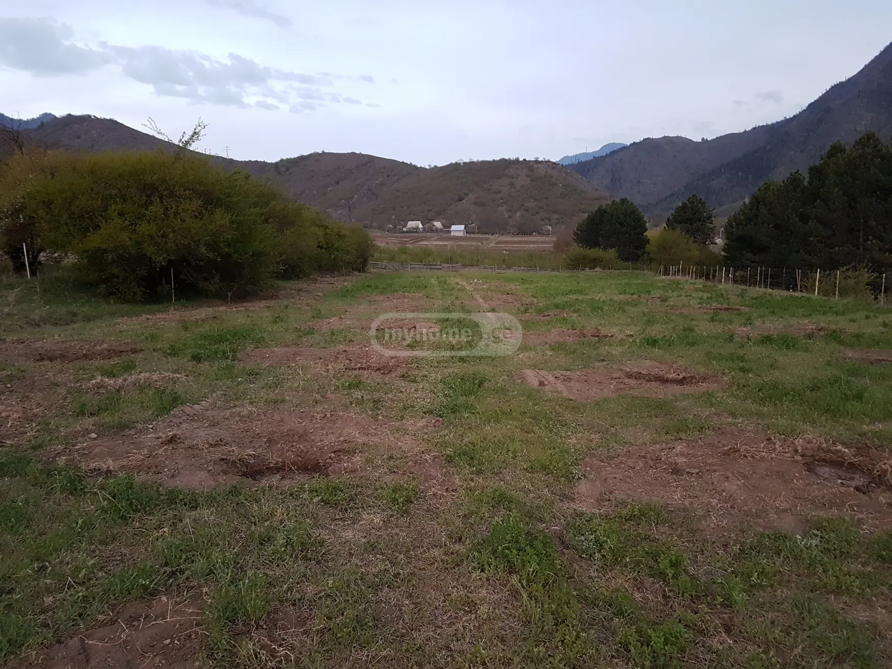For Sale Sasoplo-Sameurneo Land Plot Borjomis Munitsipalitetshi view 4