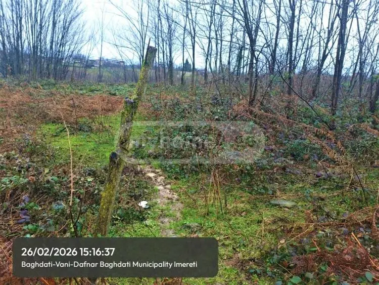 Продажа Земля / участок в Baghdatshi view 5
