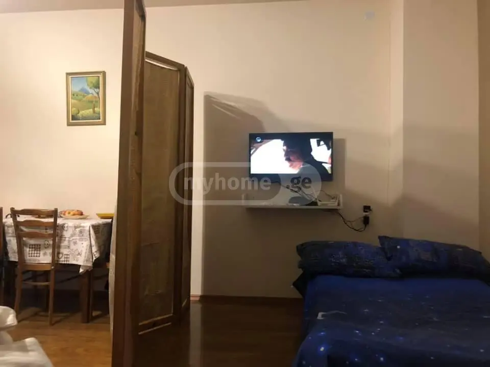 For Sale 2 Room Country House Bakurianshi view 6