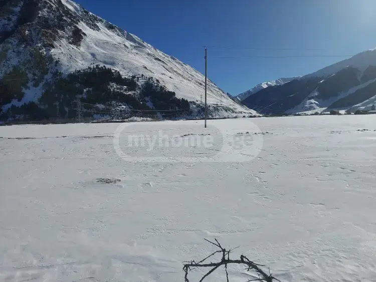 For Sale Sasoplo-Sameurneo Land Plot Qazbegshi view 1