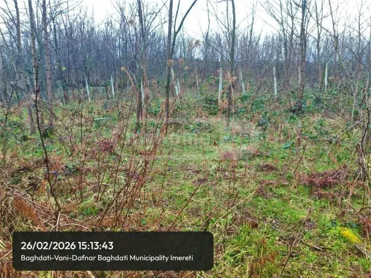 Продажа Земля / участок в Baghdatshi view 2