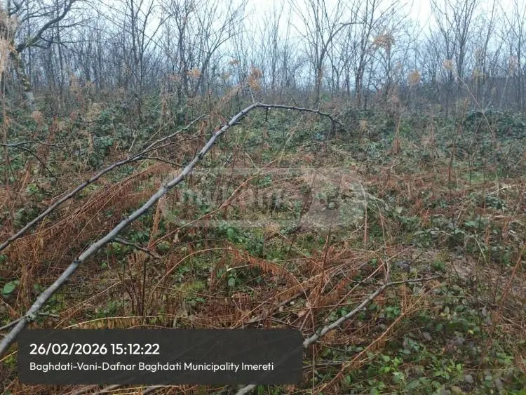 Продажа Земля / участок в Baghdatshi view 3