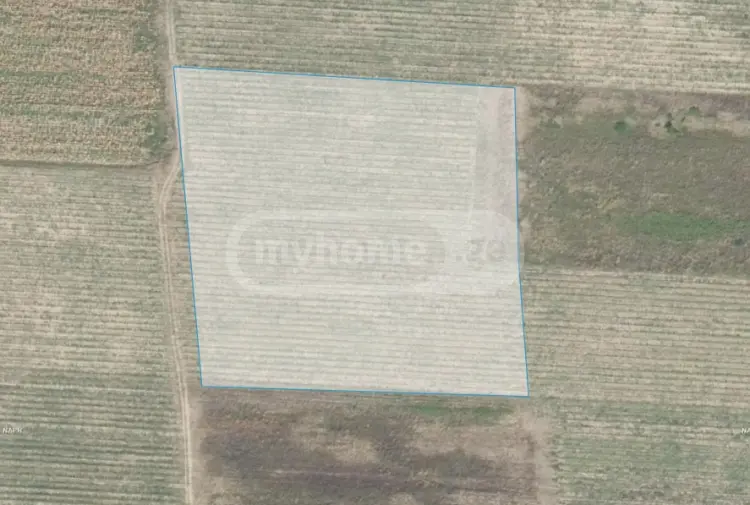 Продажа Земля / участок в Qvarlis Munitsipalitetshi view 1