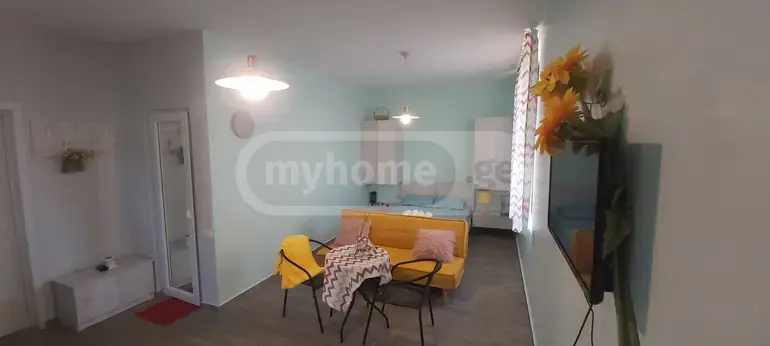 Daily Rent 5 Room Country House Ozurgetis Munitsipalitetshi view 11